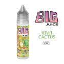 E-LIQUIDE KIWI CACTUS 50ML BIG JUICE