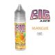 E-LIQUIDE MANGUE 50ML BIG JUICE