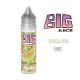 E-LIQUIDE MELON 50ML BIG JUICE