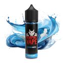 HEISENBERG 50ML KONCEPT XIX - VAMPIRE VAPE
