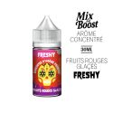 AR&Atilde;ME CONCENTR&Atilde; 30ML FRUITS ROUGES GLAC&Atilde;S FRESHY