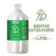 E-LIQUIDE MENTHE EXTRA-FORTE &ndash; 770 PREMIUM - 1 LITRE 
