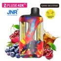 POD ZPLUSE 42K - SANS NICOTINE - BLUEBERRY RASPBERRY CHERRY + FIZZY CHERRY COLA - JNR